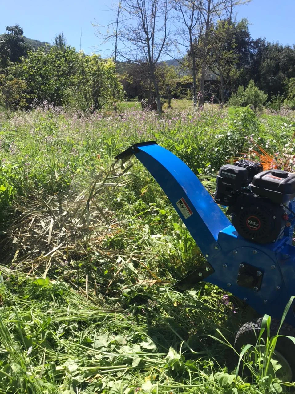 Chipeado de ramas en terreno