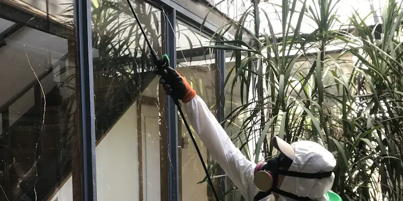 Tratamiento perimetral exterior