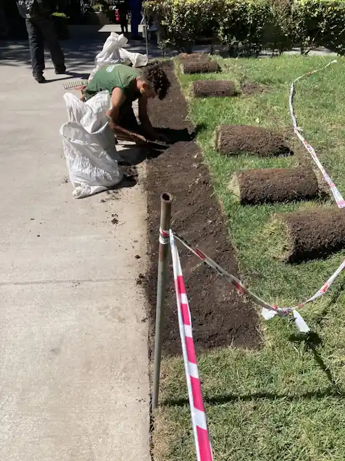 Instalación Profesional