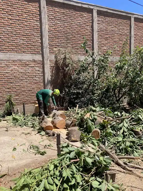 Herramientas profesionales